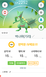 백나무킹...
