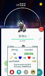 저의 6번째 그리고 부계정 의 2번째 백퍼 포켓몬!!!!!!