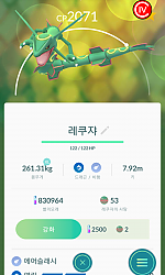 레쿠쟈