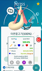 밀로틱