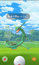 레쿠쟈 500