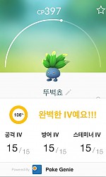 뚜벅쵸......