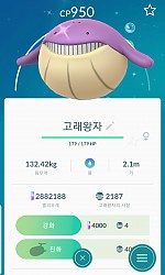 고래왕자 이로치