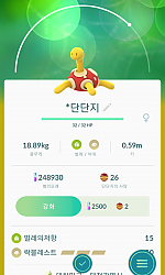 단단지 100