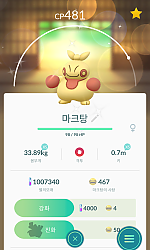 마크탕 이로치