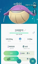 고래 이로치입니다~