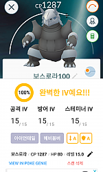 백퍼~~