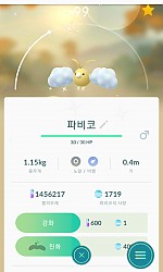 파비코