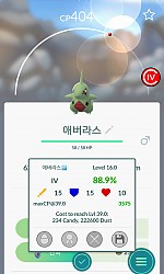 에버라스88퍼