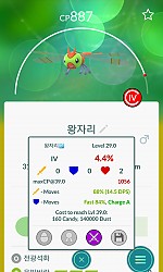 왕자리 4%