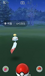 야생 치렁