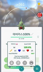 에버라스100%