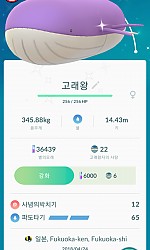 고래왕 이로치로 진화하다