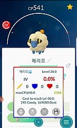 메리프 0%  희귀종