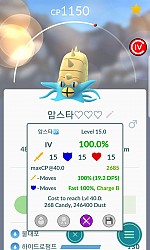 암스타