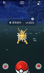 야생 쥬피썬더