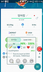 잉어킹 100%