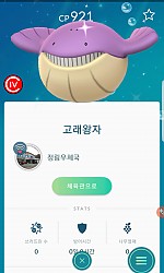 오늘잡은 이로치 고래왕자