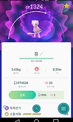 뮤 100 잡았습니다