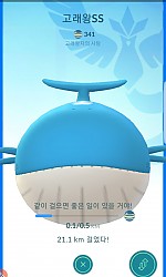파트너포켓몬  고래왕~~~