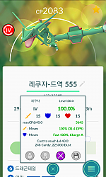 부케 100퍼 레쿠쟈 포획... 졸업....ㅋㅋ