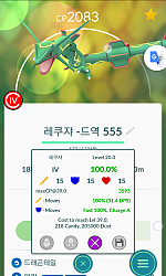 부부케 100퍼 레쿠쟈 포획 완료