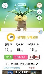 나시 100