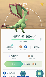 톱치 100을 진화시켜 플라이곤을 만들었습니다.