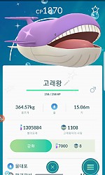 고래왕자 진화
