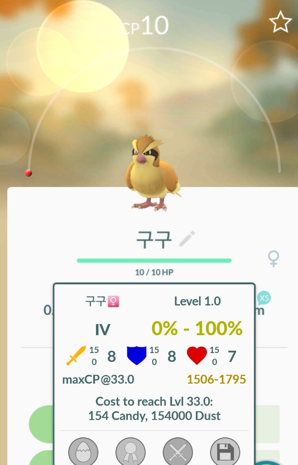 cp 10 짜리 포켓몬